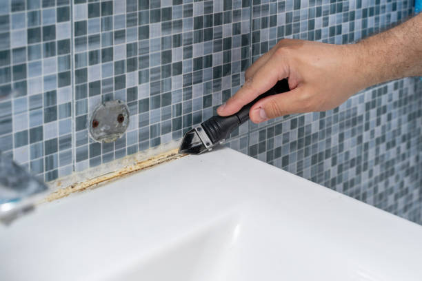 Livingston, LA Mold Removal Company