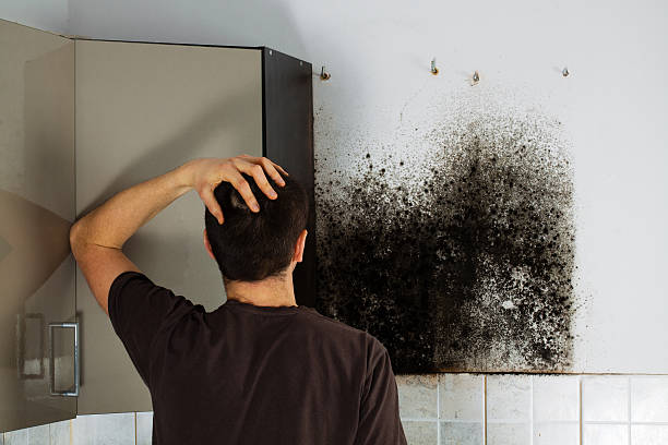 Best Certified Mold Removal  in Livingston, LA