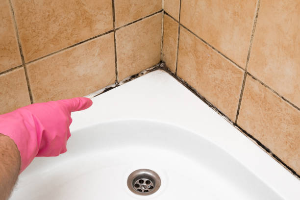 Best Mold Remediation Services  in Livingston, LA